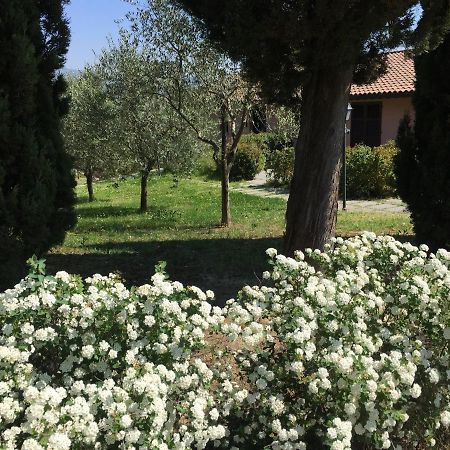 Villa Il Principino Country Resort Vinci Eksteriør billede